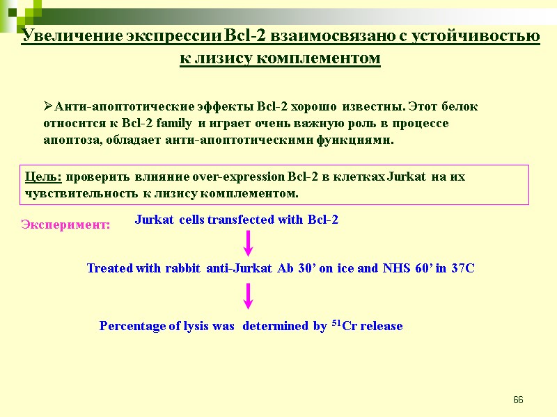 66 Увеличение экспрессии Bcl-2 взаимосвязано с устойчивостью к лизису комплементом Анти-апоптотические эффекты Bcl-2 хорошо